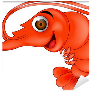 Shrimp Cartoon (400x400)