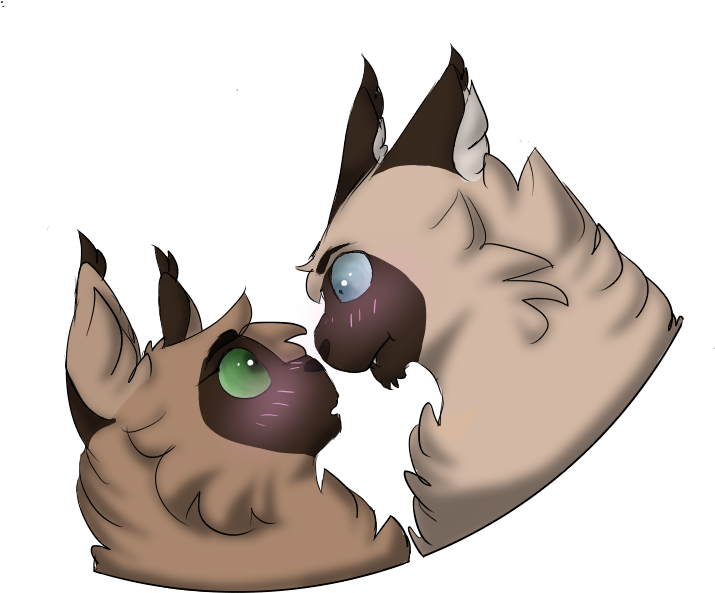 Eragon X Quail - Cartoon (800x700)