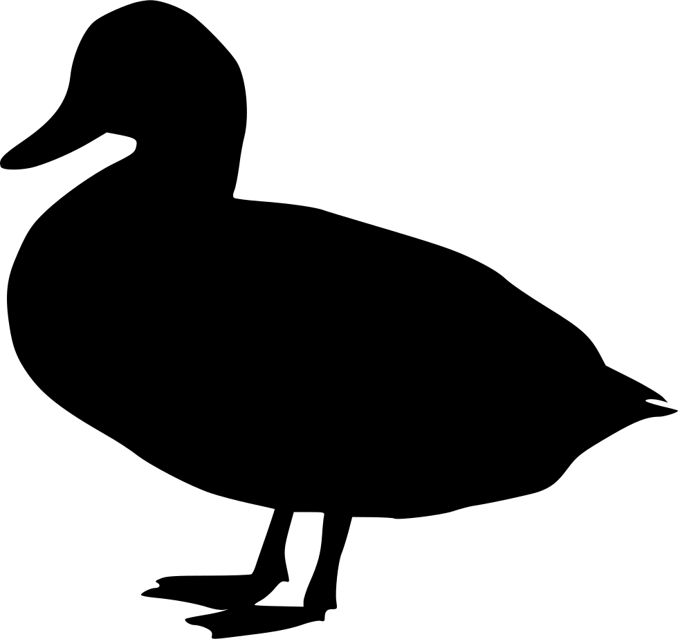 Duck Comments - Duck (980x924)