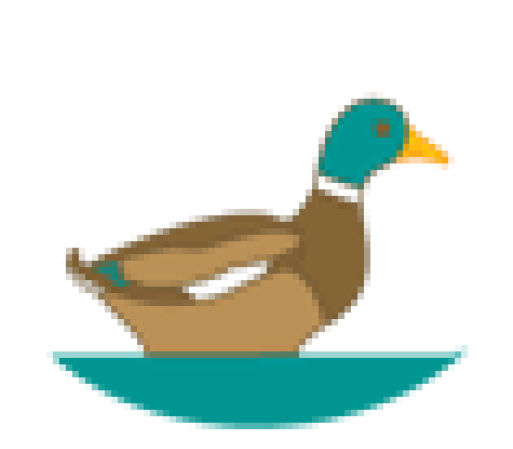 Mallard (512x512)