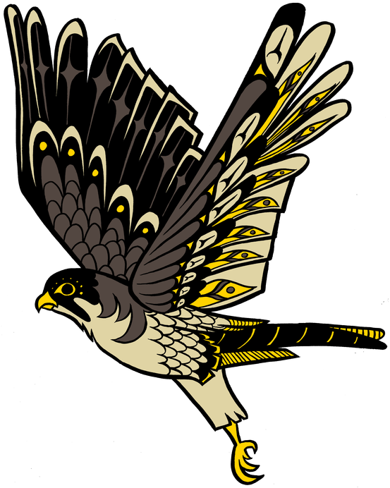 Falcon - Golden Eagle (618x800)