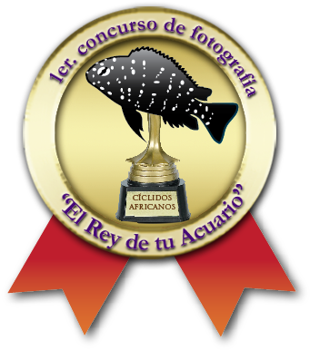 Comentar Imagen - Label (425x425)