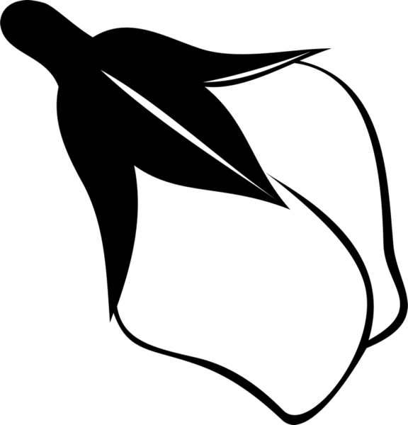 Clip Art (576x600)