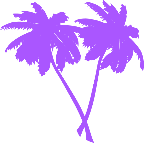 White Palm Tree Transparent (600x595)