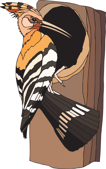 Bird Clipart - Else - Bird (372x592)