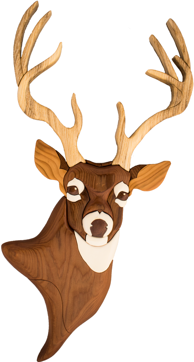 Deer (1050x1500)