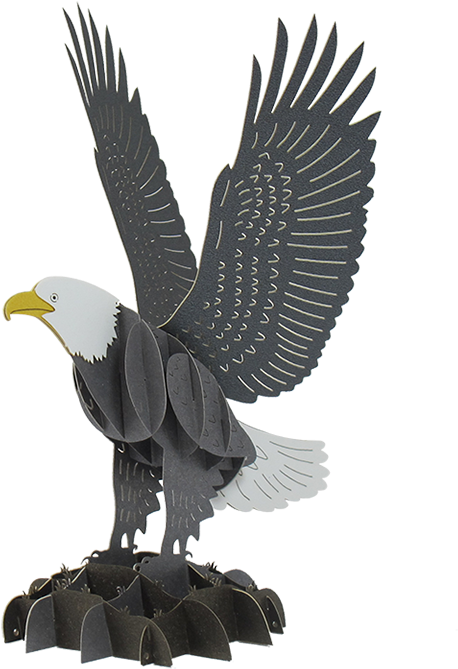 Pop Up Eagle - Eagle (1280x720)