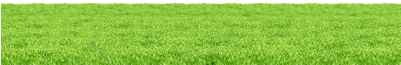 Lawn (400x400)