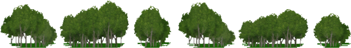 Grassland Trees Background - Thuya (721x721)
