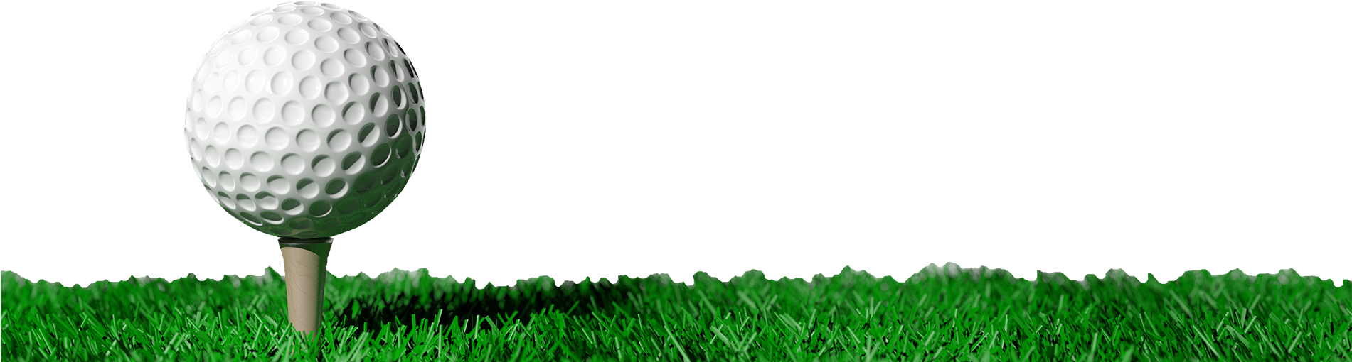 Online Donations - Lawn (1900x516)