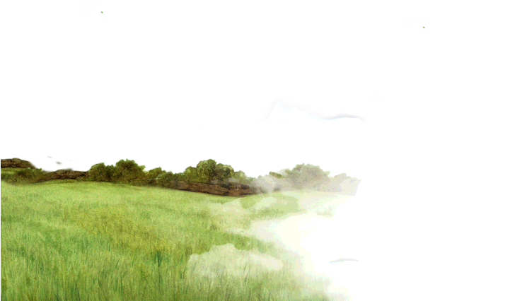 Grass (720x432)
