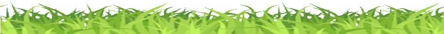 Repairs Grass 1 Bubbles - Field (915x300)