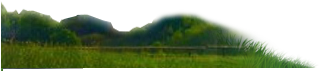 Kiruba Construction - Grass (318x425)