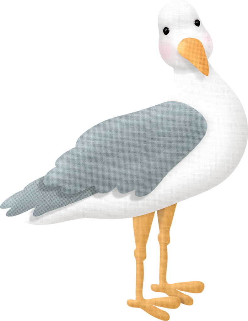 Cutepictures Альбом «скрап Наборы / Авторские / Nitwit - Dibujos De Gaviotas (790x1024)