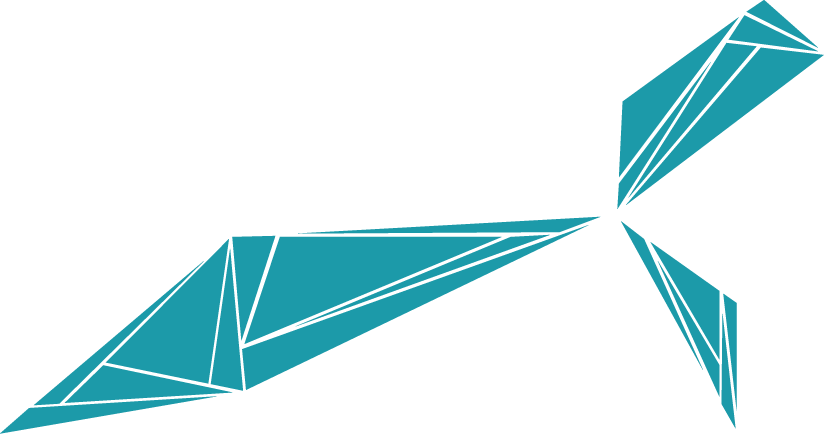 Leo Mühendi̇sli̇k - Triangle (824x434)