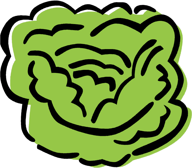 Lettuce - Clip Art (793x703)