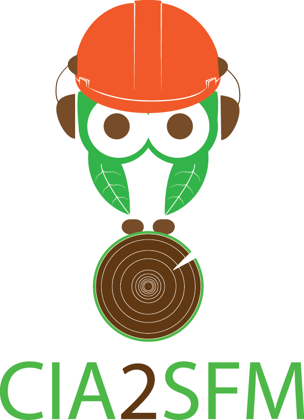 Pathway Clipart Project Approach - Portable Network Graphics (591x817)