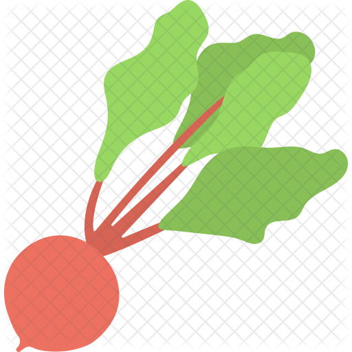Beet Root Icon - Beetroot (512x512)