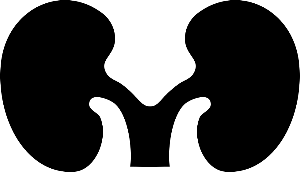 Font Kidney Comments - Font Kidney Comments (982x564)
