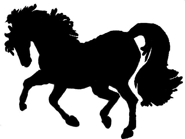Hunter, Arabian - Stallion (632x491)