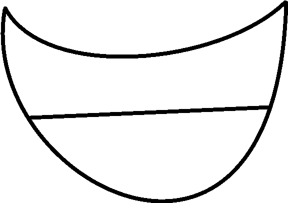 Mouth Teeth Smile - Crescent (691x458)