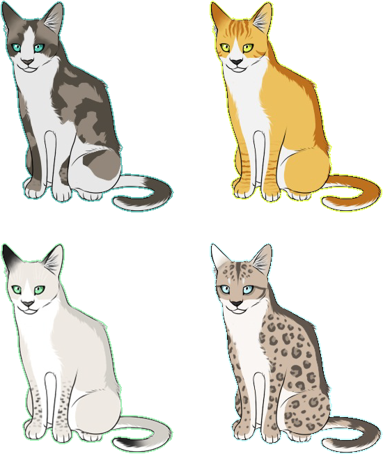 Snowshoe (600x694)
