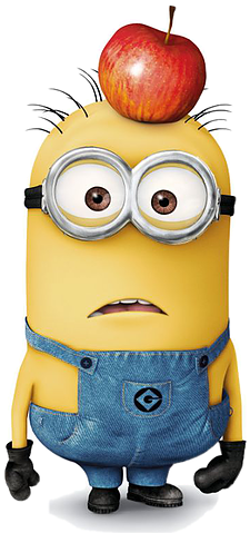 Minion Notebook / Journal: Pocket Notebook / Journal (403x490)