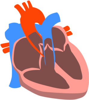 Heart - Heart (1000x563)