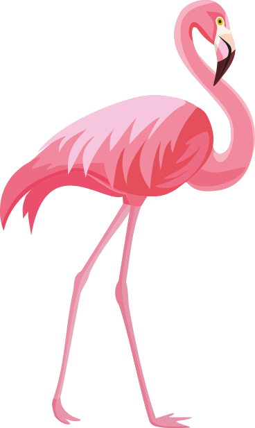 Itinerary "pink Flamingo" - Пнг Фламинго (368x617)