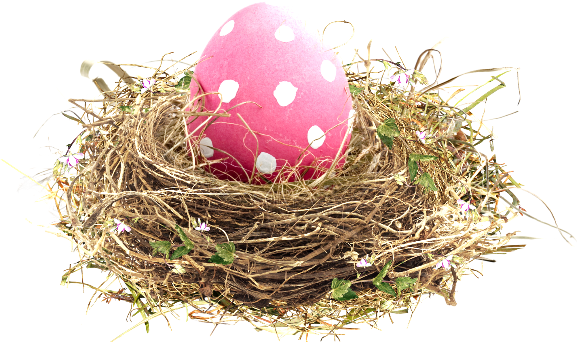 Bird Nest Easter - Birds Nest (2028x1185)