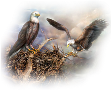 Nesting-eagles - Wwseven Cute Bird Diy Handmade Diamond Painting Set (448x350)