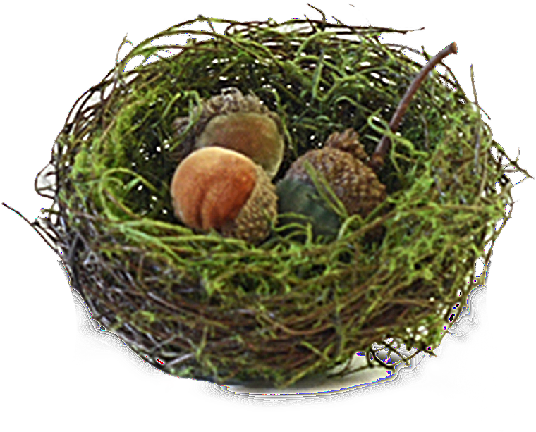 Nest (1024x1024)
