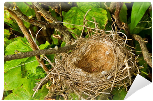 Birds Nest In Tree (400x400)