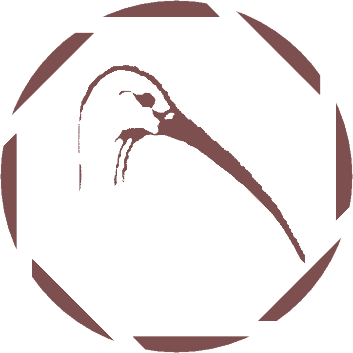 Project (724x724)