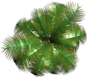 Planta 7 - Planta 7 (640x480)