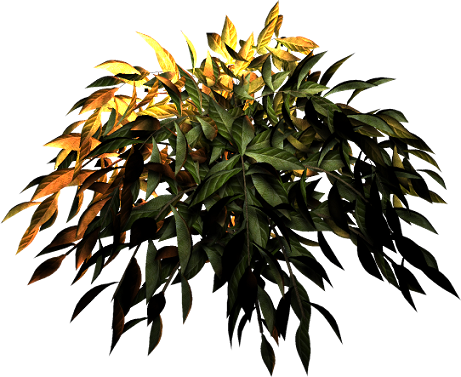 Planta2 - Psd (461x377)