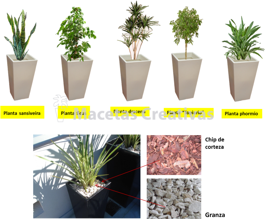 #3 - Houseplant (1024x766)