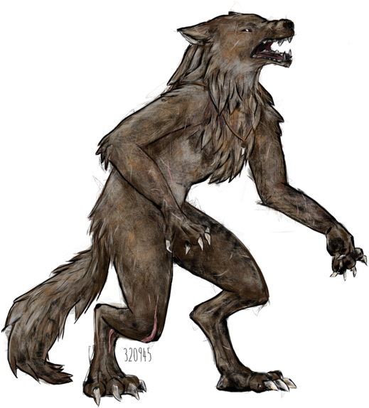 Werewolf - Illustration (1024x598)
