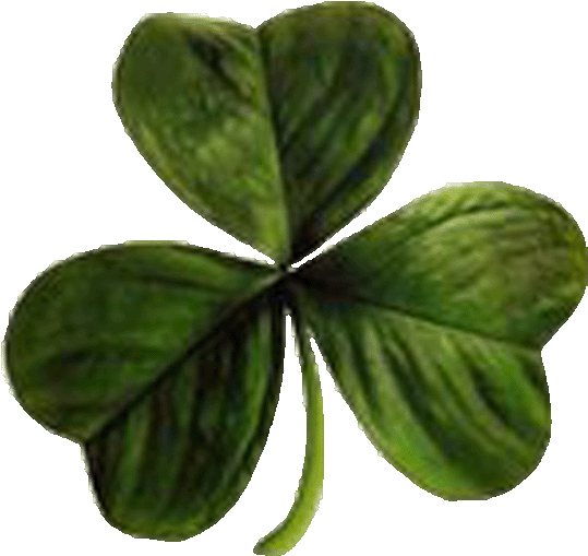 St Patrick's Day (1024x768)