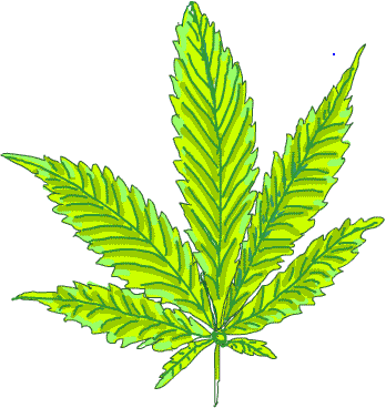 Marijuana Warning Marijuana Leaf - Da Foia Da Maconha (348x368)