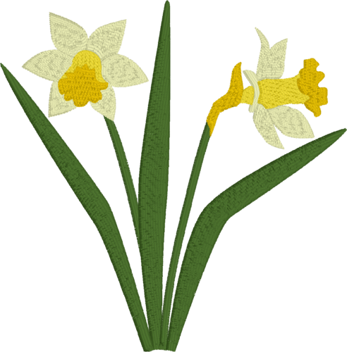 Daffodils - Eastern Pearl Restaurant (492x500)