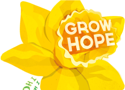 Daffodil Day (647x339)