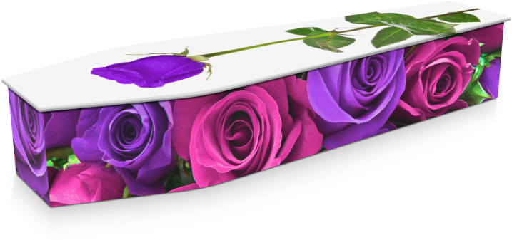 Expression Cofins - Rose (800x536)