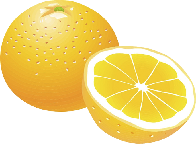 卡通水果 - 矢量 图 (720x529)