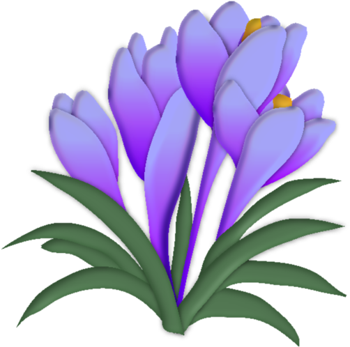 *** - Spring Crocus (600x573)