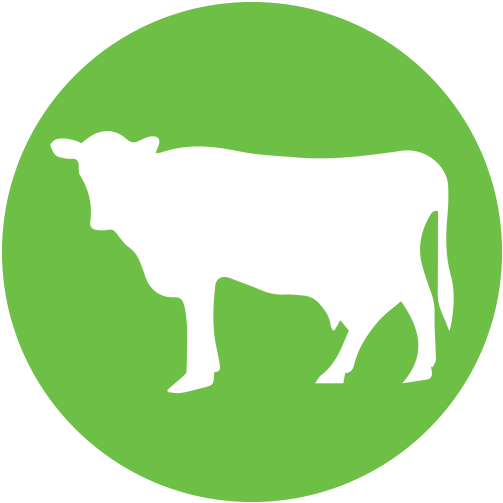 Dairy Operations - Dairy Product (512x512)