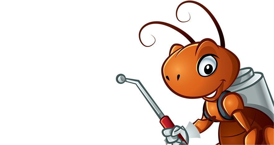 860 - Ant (896x470)
