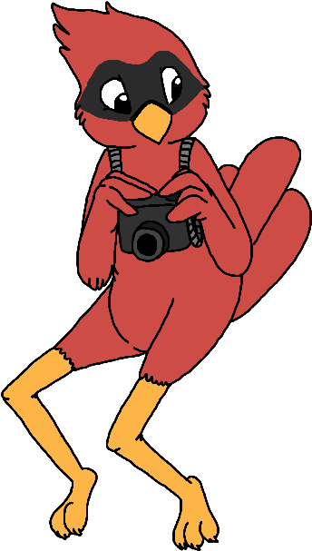 Cardinal Yearbook - Cartoon (384x704)