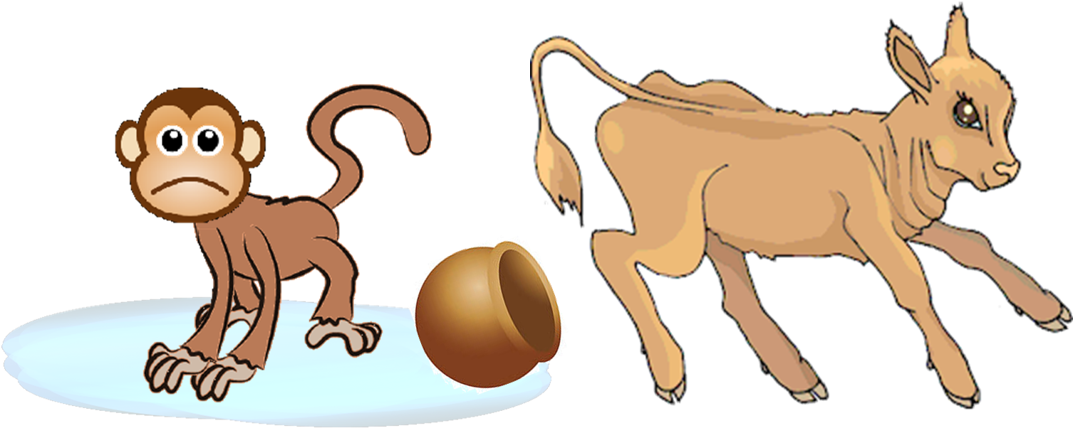 Monkey (1594x763)