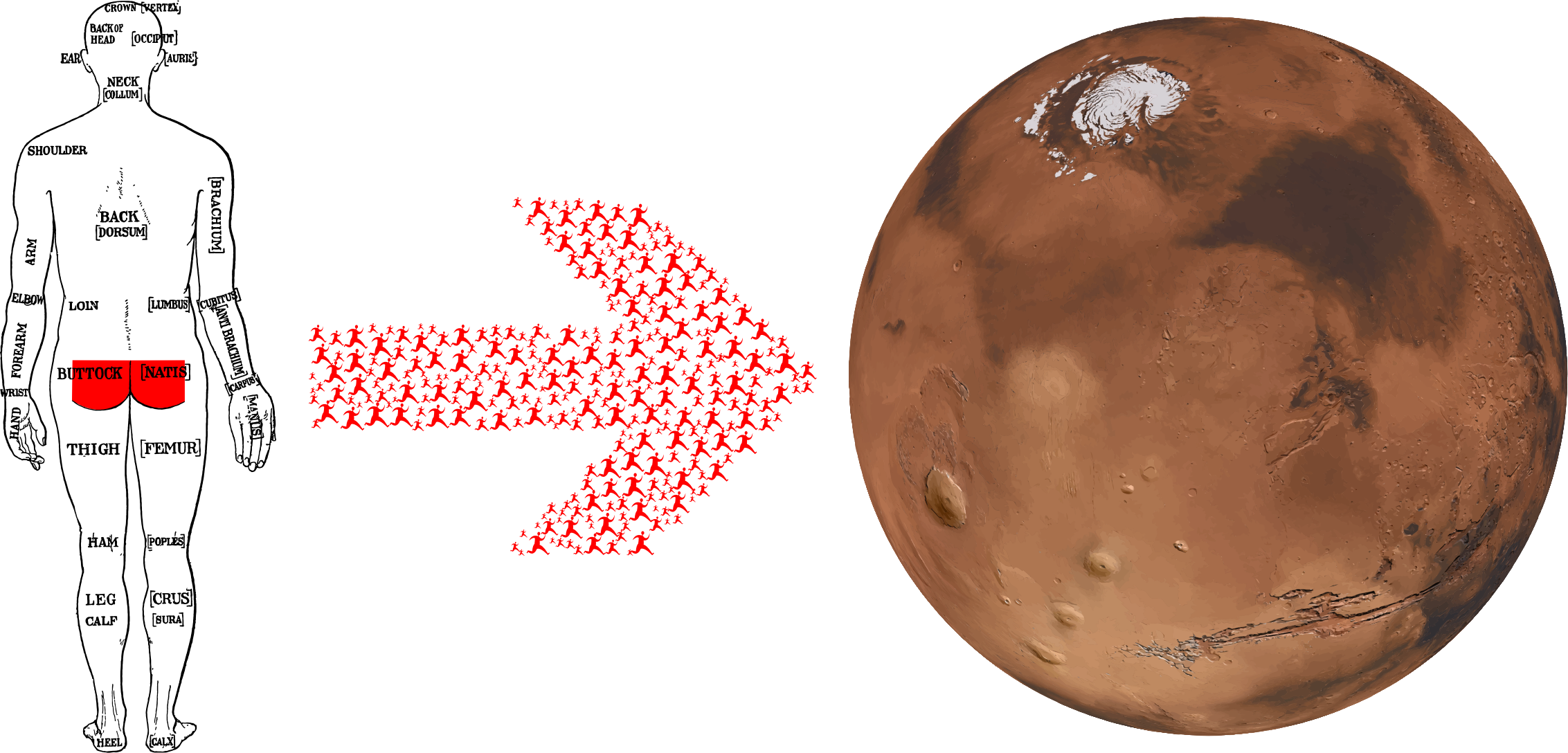 Big Image - Clip Art (2265x1088)